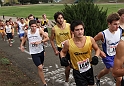 2010NCSXC BD3-028